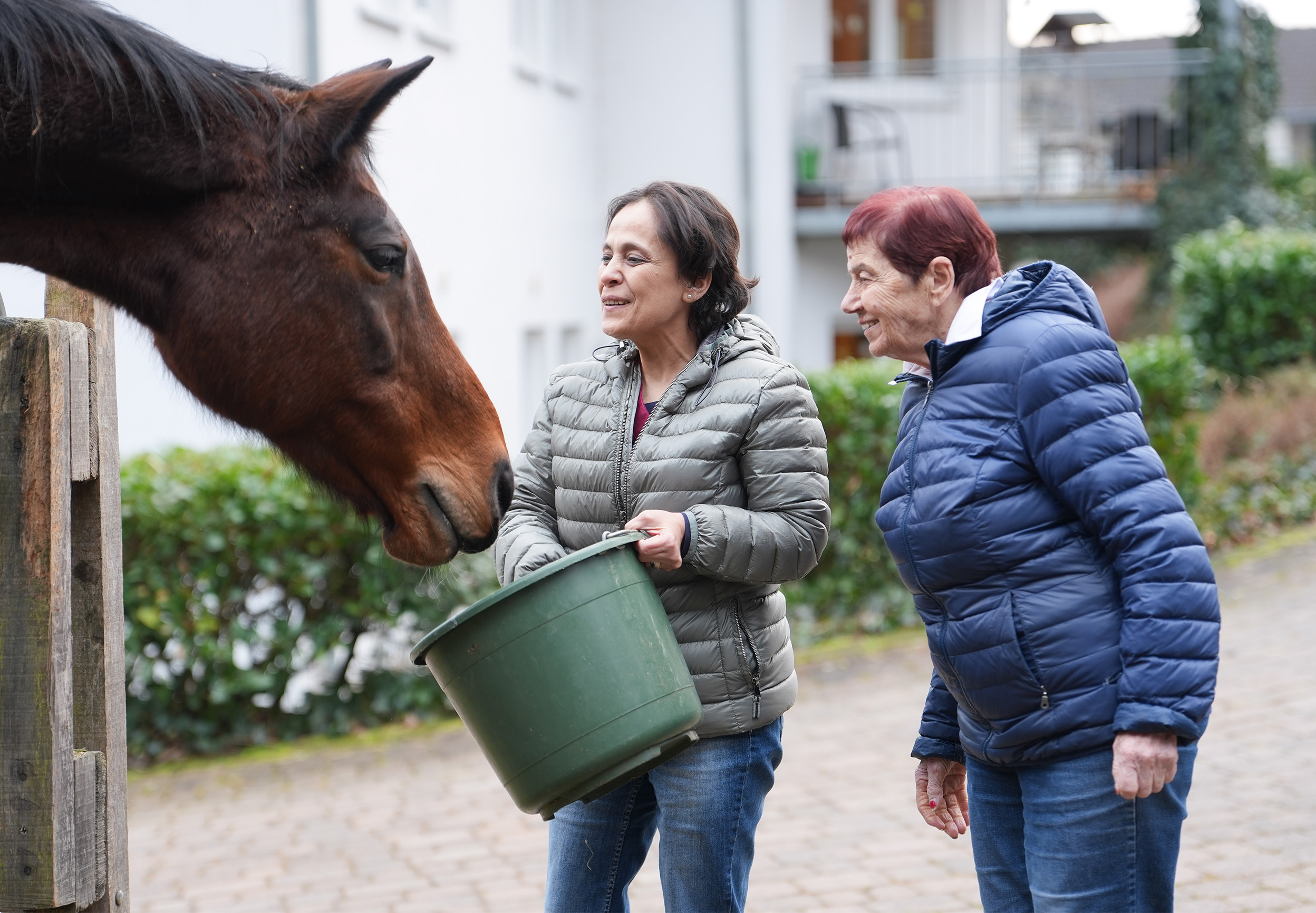 Pflegefachassistenz Pflegefachassistenz